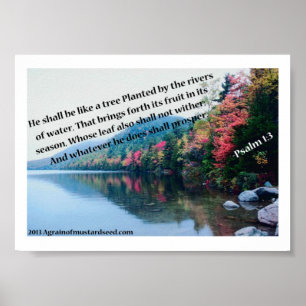 Bible Scripture prayers Poster