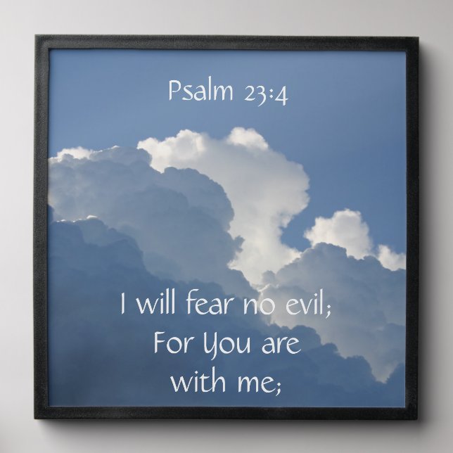 Bible Scripture Psalm 23:4 Fear No Evil... Peel And Stick Photo Tile (Front Set)