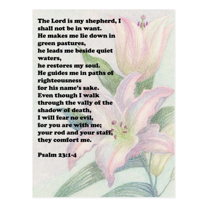 Bible verse and flower lily postcard