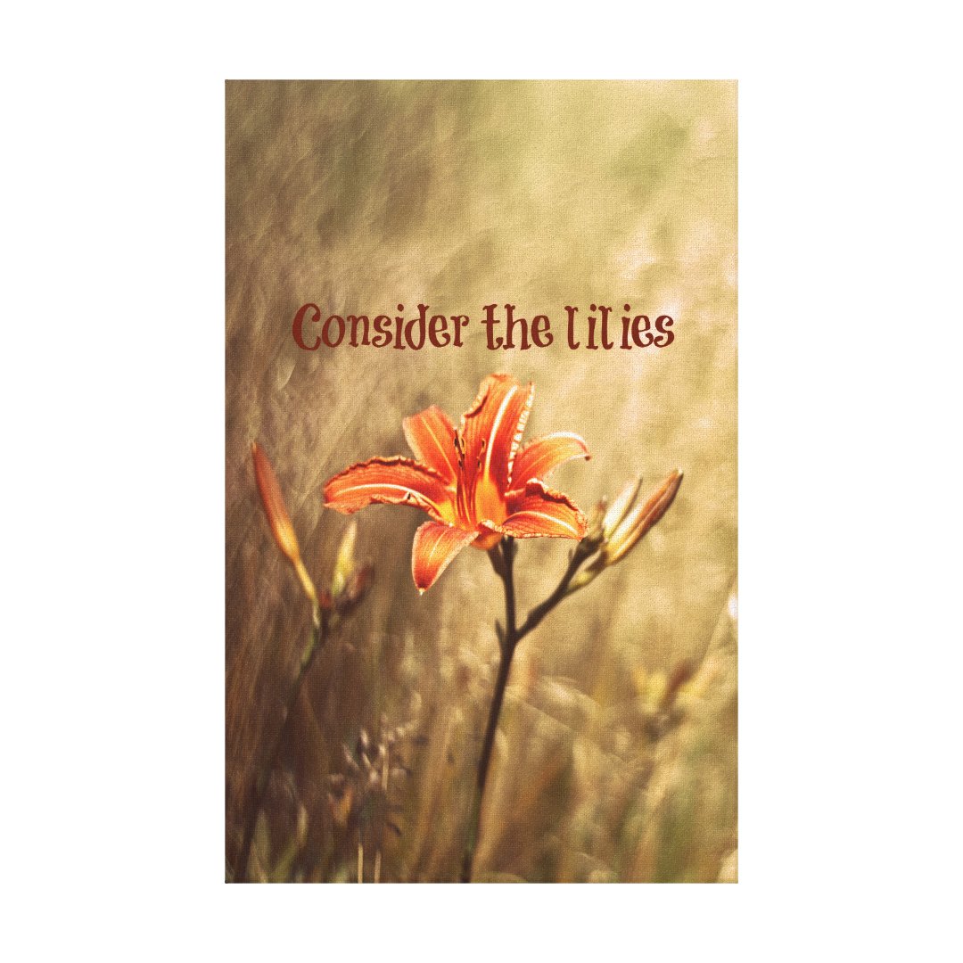 Bible Verse Consider the Lilies Canvas Print Zazzle
