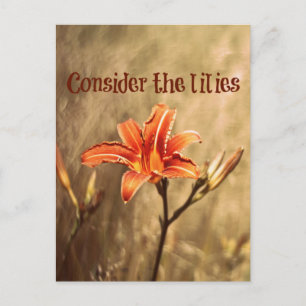 Bible Verse: Consider the Lilies Postcard
