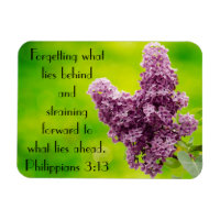 Bible verse encouragement Philippians 3:13