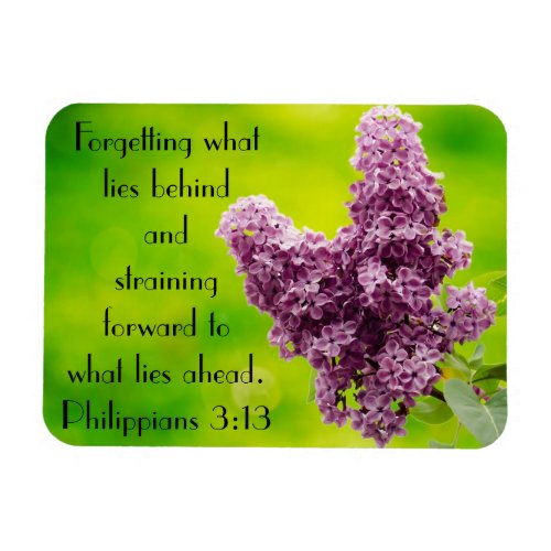 Bible verse encouragement Philippians 313 Magnet