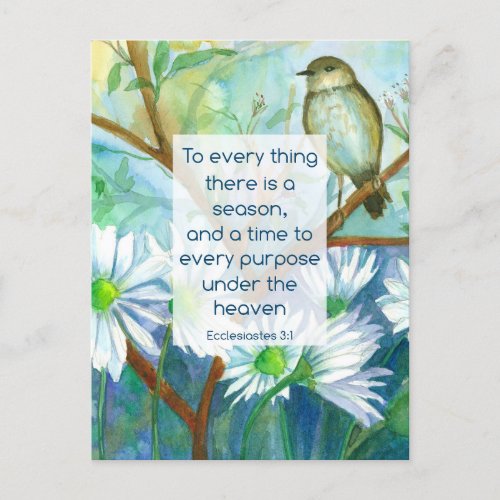 Bible Verse Everything There Is A Season Ecc 31 Postcard