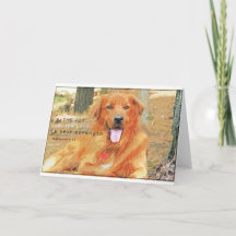 Bible verse folded greeting card with Golden Ret