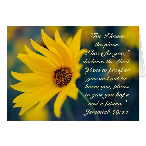 Bible Verse Jeremiah 29:11, Wildflower Custom Card | Zazzle