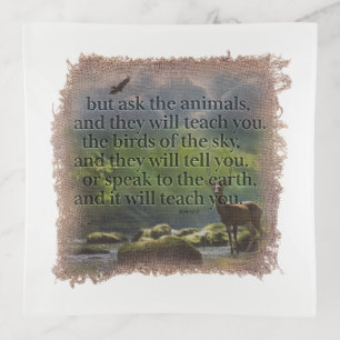 BIBLE VERSE - Job 12:7 - Trinket Tray