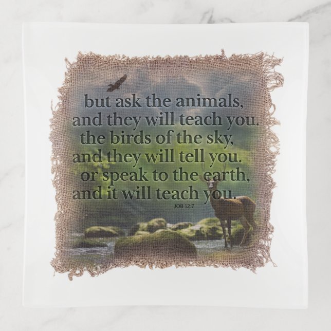 BIBLE VERSE - Job 12:7 - Trinket Tray (Front)