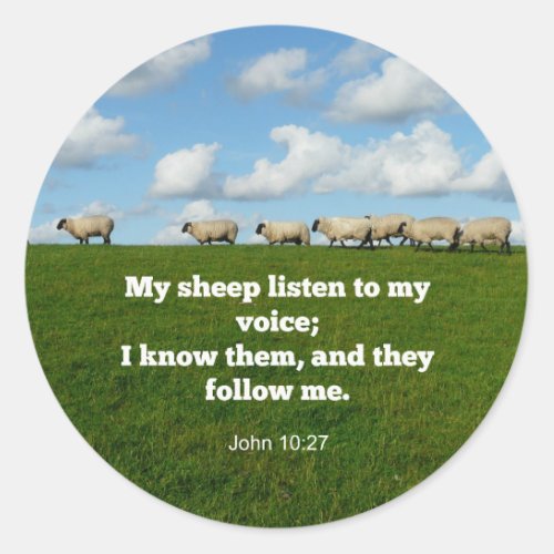 Bible verse John 1027 My sheep Classic Round Sticker