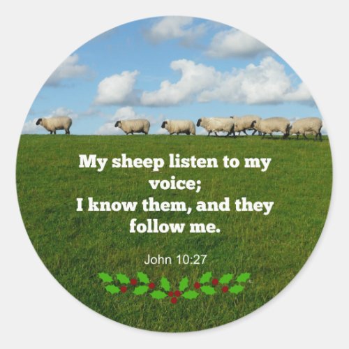 Bible verse John 1027 My sheep Classic Round Sticker