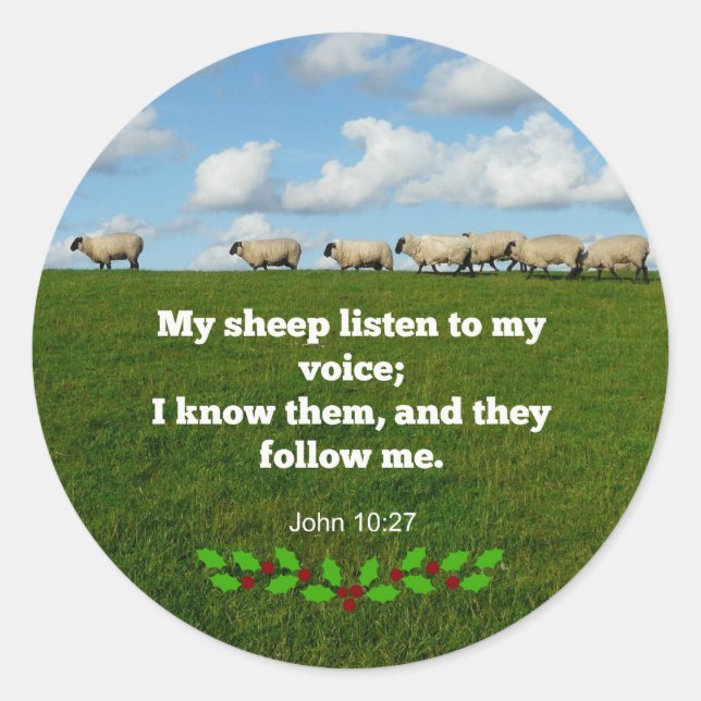 Bible verse, John 10:27, My sheep... Classic Round Sticker (Front)