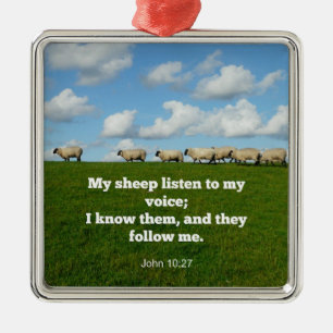 Bible verse, John 10:27, My sheep... Metal Ornament