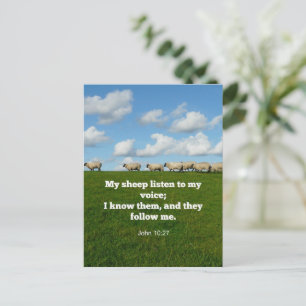 Bible verse, John 10:27, Postcard