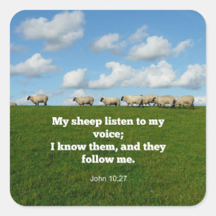 Bible verse, John 10:27 Square Sticker
