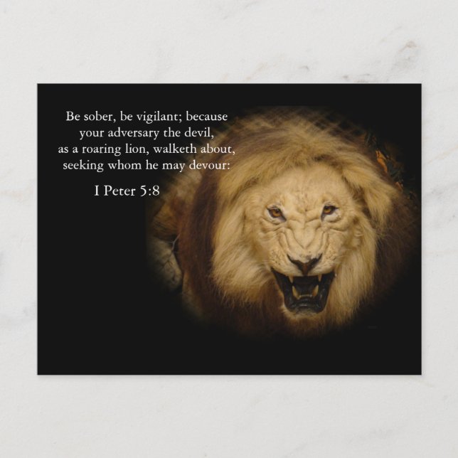 Bible Verse Memory Card (Front)