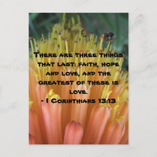 Bible verse postcard