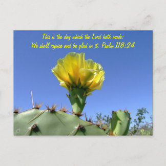Bible verse postcard cactus flower