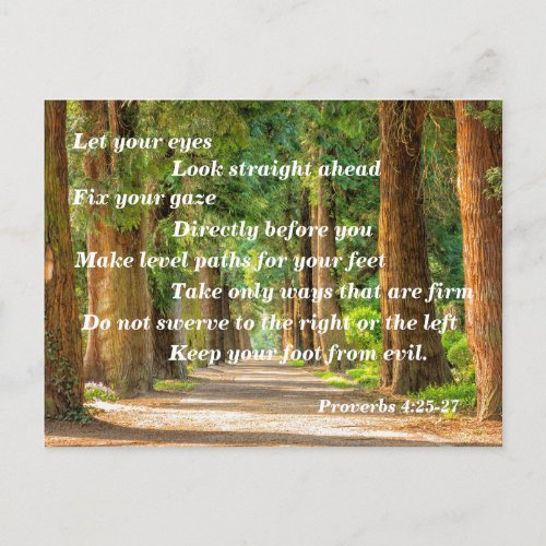 Bible Verse Proverbs 425_27 Postcard