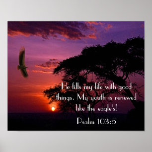 bible verse Psalm 103:5 sunset and eagle Poster