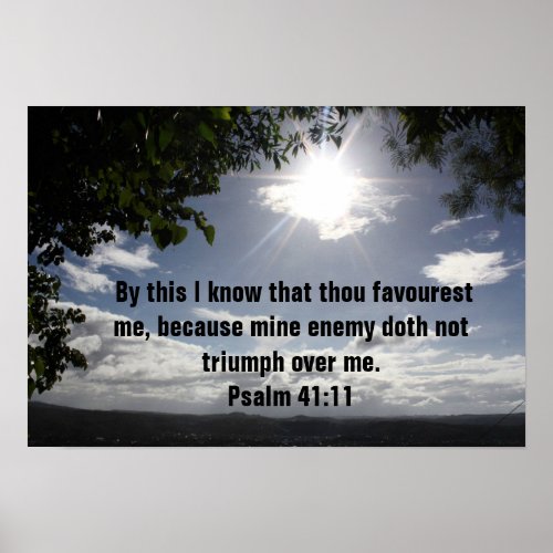 Bible verse Psalm 4111 Poster