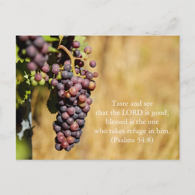 Bible Verse Psalms 34:8 Postcard: Taste and See Postcard (Front)