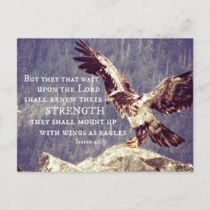 Bible Verse: Renew Strength, Wings as Eagles Postcard