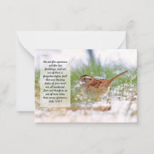 Bible Verse Scripture Note Card Sparrow KJV