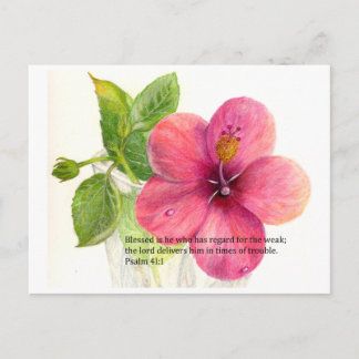 Bible verse with a flower "Hibiscus" Postcard