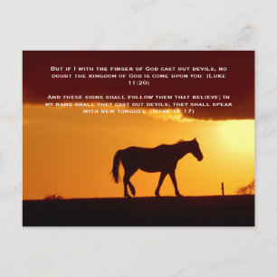 Bible verses, a horse in the sunset postcard