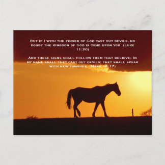 Bible verses, a horse in the sunset postcard
