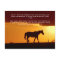 Bible verses, a horse in the sunset