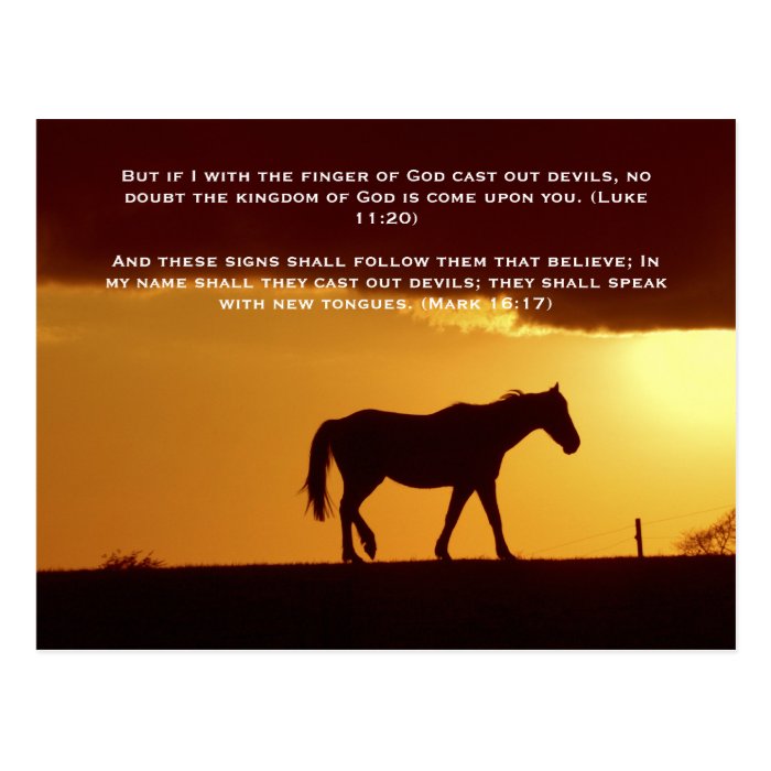 Bible verses, a horse in the sunset postcard