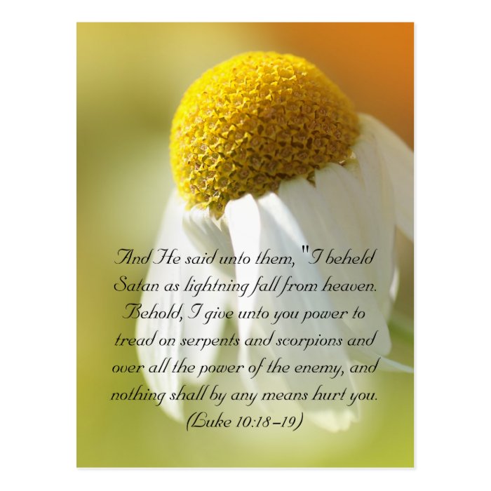 Bible verses, Daisy Post Card