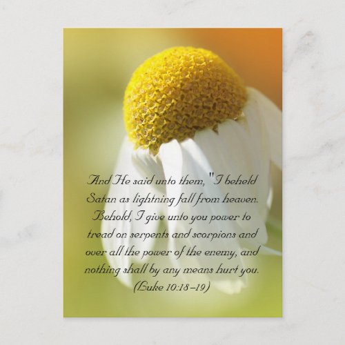 Bible verses Daisy Postcard