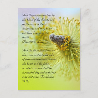 Bible verses, Spring time Postcard