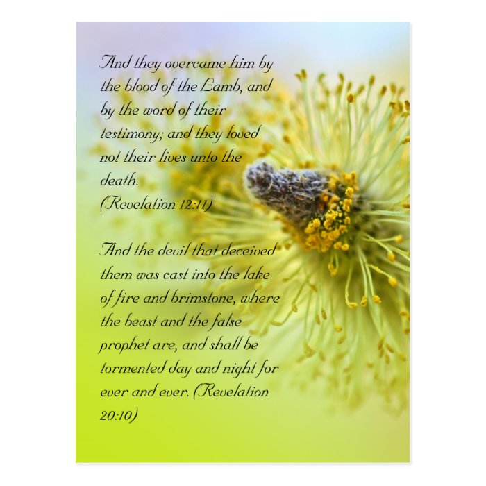 Bible verses, Spring time Postcard