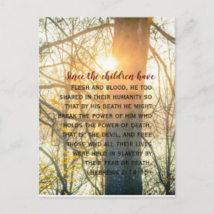 Bible verses, the sunset, Hebrews 2 Postcard