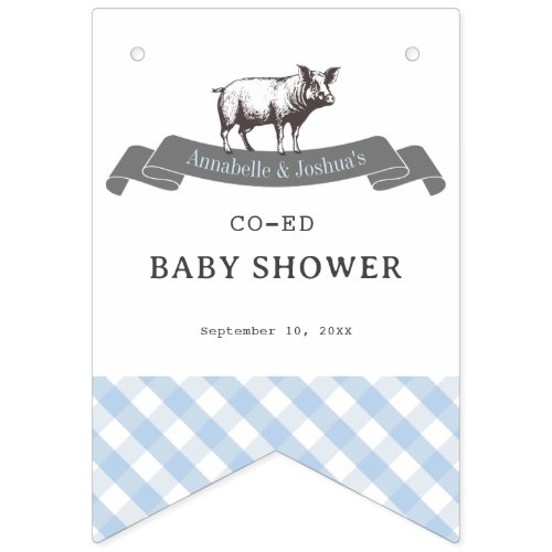 Bibs  Ribs BBQ Rustic Blue Gingham Baby Shower Bunting Flags