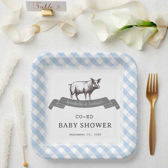 Bibs & Ribs BBQ Rustic Blue Gingham Baby Shower Paper Plates (Wedding)