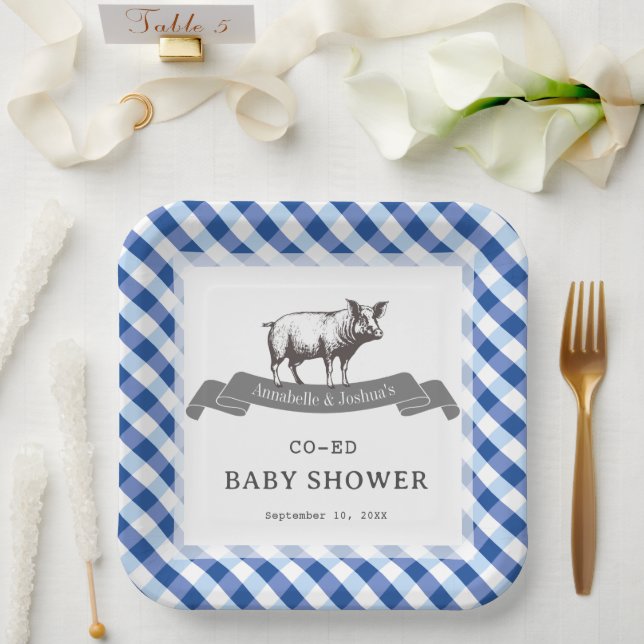 Bibs & Ribs BBQ Rustic Navy Gingham Baby Shower Paper Plates (Wedding)