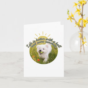 Bichon & Ball Dandelion Days Card