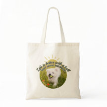 Bichon & Ball Dandelion Days