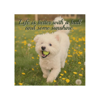 Bichon & Ball Dandelion Days Wood Wall Art