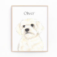 Bichon, Bolognese, Coton, Havanese, Maltese Art