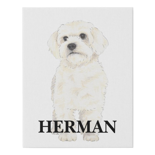 Bichon, Bolognese, Coton, Havanese, Maltese Faux Canvas Print (Front)