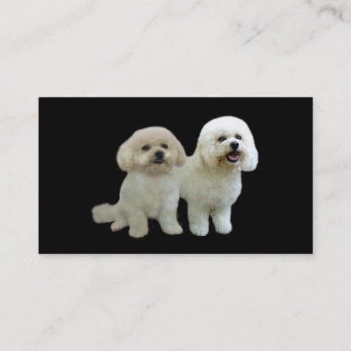 Customizable Bichon Breeder Business Card