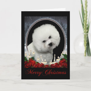 Bichon Christmas Card