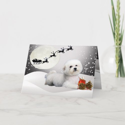 Bichon Faces A Merry Christmas Greeting Card