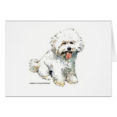 Bichon Frise (Front Horizontal)