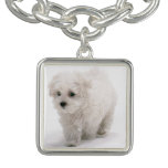 bichon-frise-5 bracelet